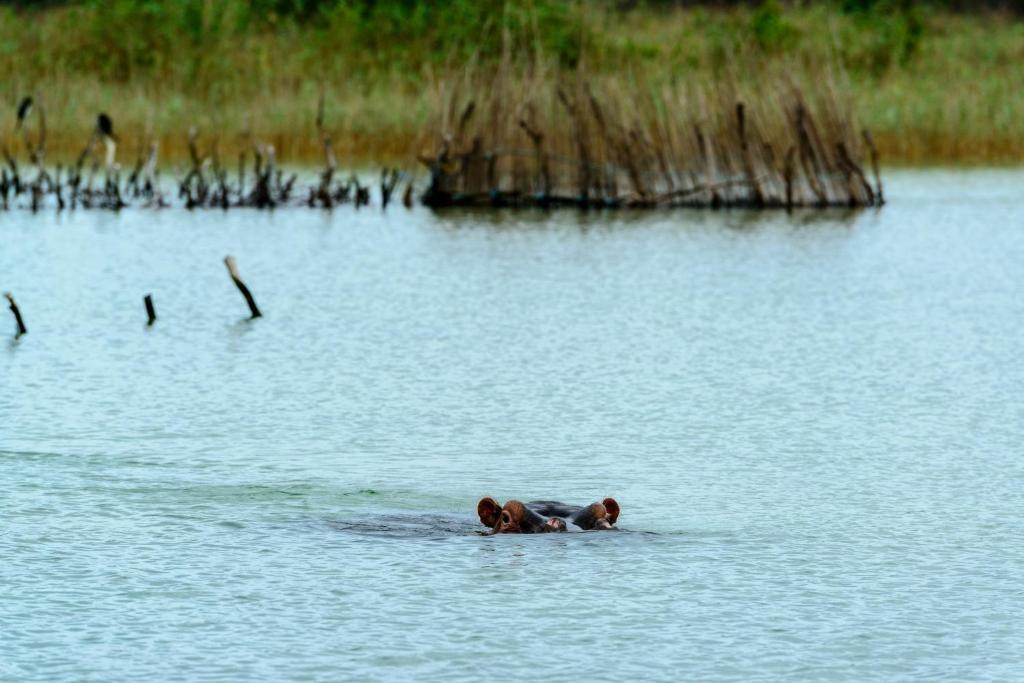 Kosi Forest Lodge Manguzi Luaran gambar