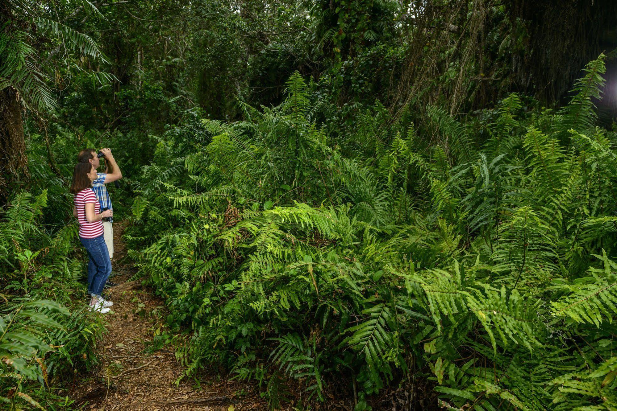 Kosi Forest Lodge Manguzi Luaran gambar